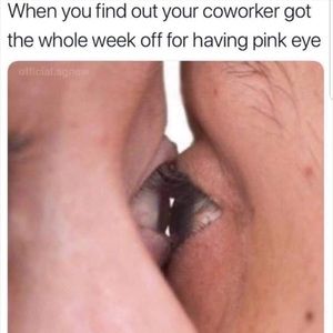 Meet your Posher, Sheba